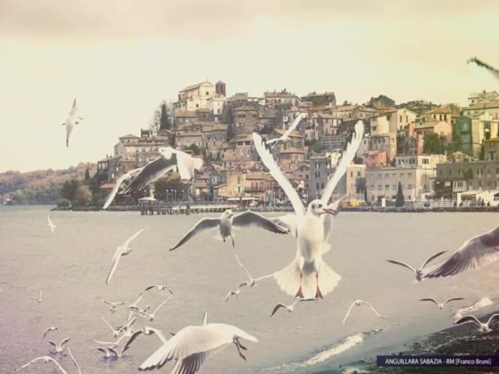 Iride Sul Lago 1 Via Principessa Jolanda 10-Piazza Del Molo Anguillara Sabazia Dış mekan fotoğraf